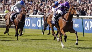 Minding - 1000 Guineas